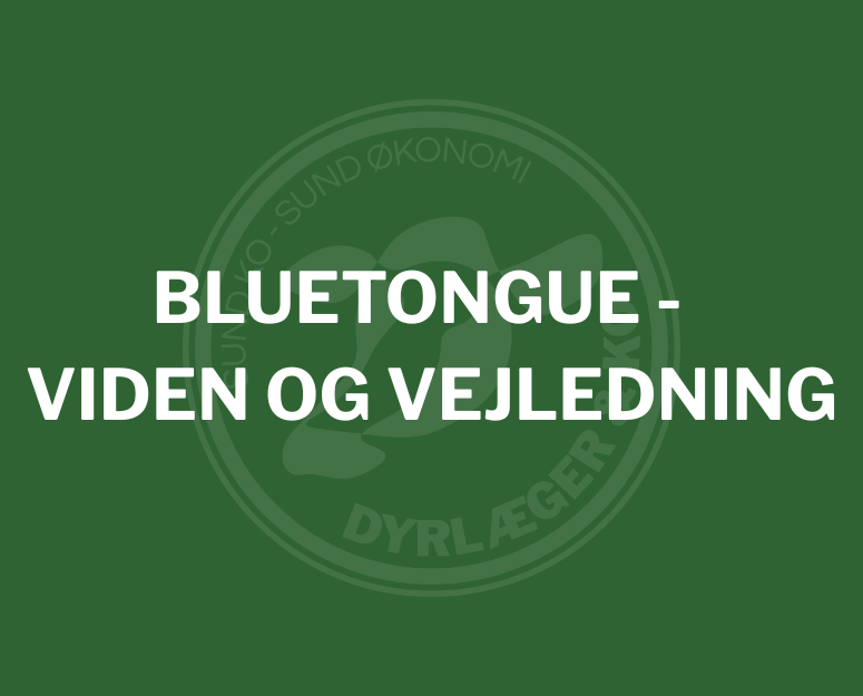 Bluetongue vaccine-vejledninger 