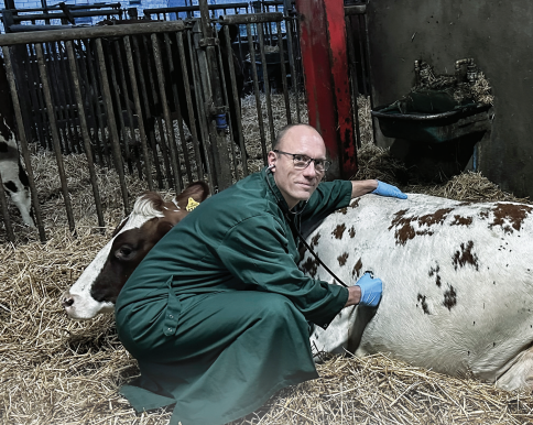 Ryd op efter salmonella