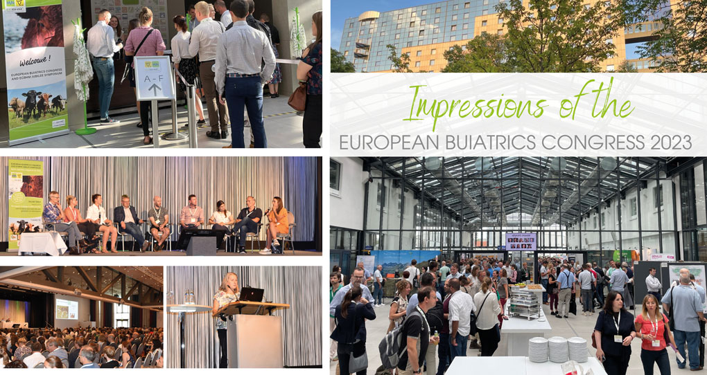 VetSalus Scandinavia til European Buiatrics Congress 2023